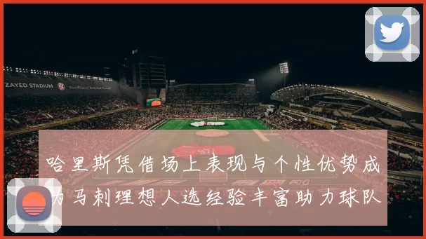 哈里斯凭借场上表现与个性优势成为马刺理想人选经验丰富助力球队发展